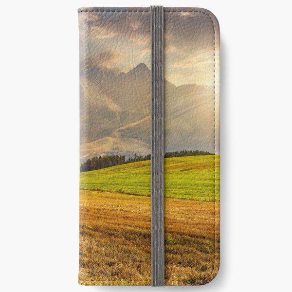 rural field in Tatra mountains at sunset iPhone Wallet