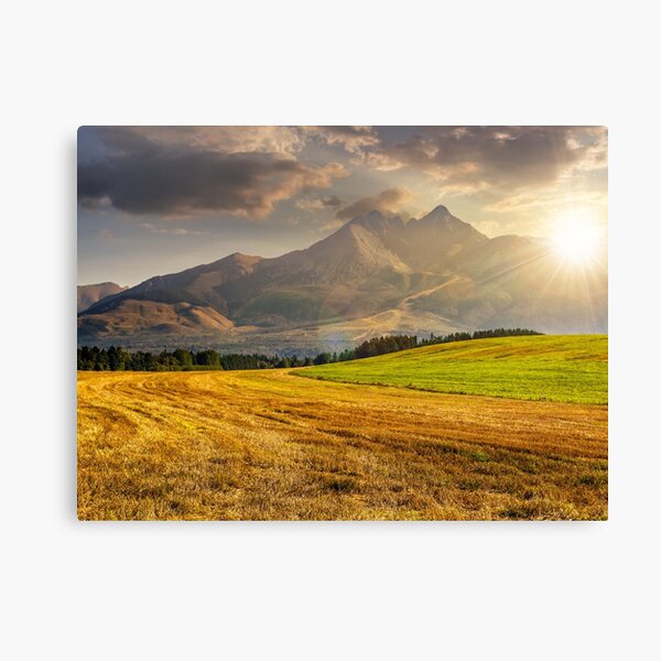 rural field in Tatra mountains at sunset Canvas Print