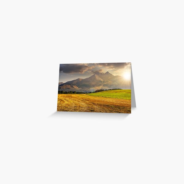 rural field in Tatra mountains at sunset Greeting Card
