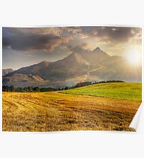 rural field in Tatra mountains at sunset Poster