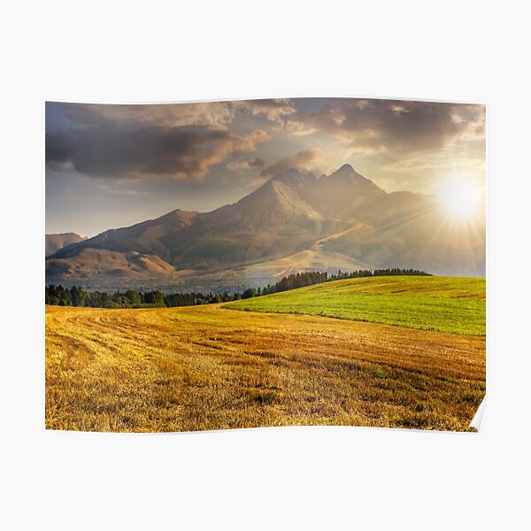 rural field in Tatra mountains at sunset Poster