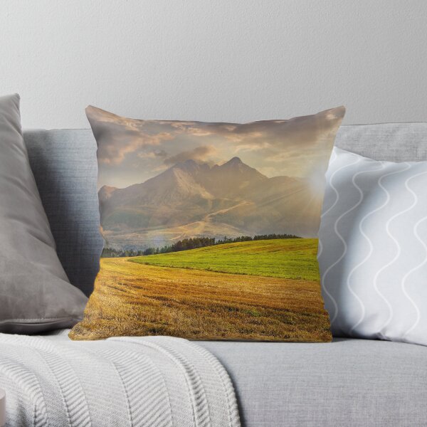 rural field in Tatra mountains at sunset Throw Pillow