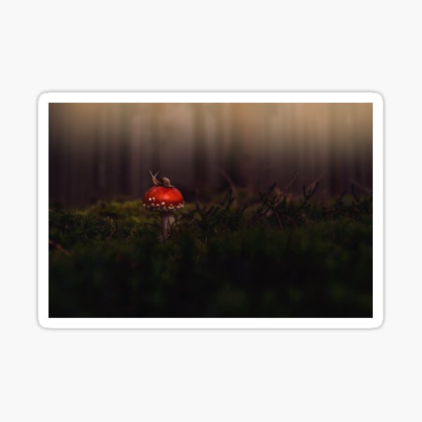 Snail on Mushroom Sticker