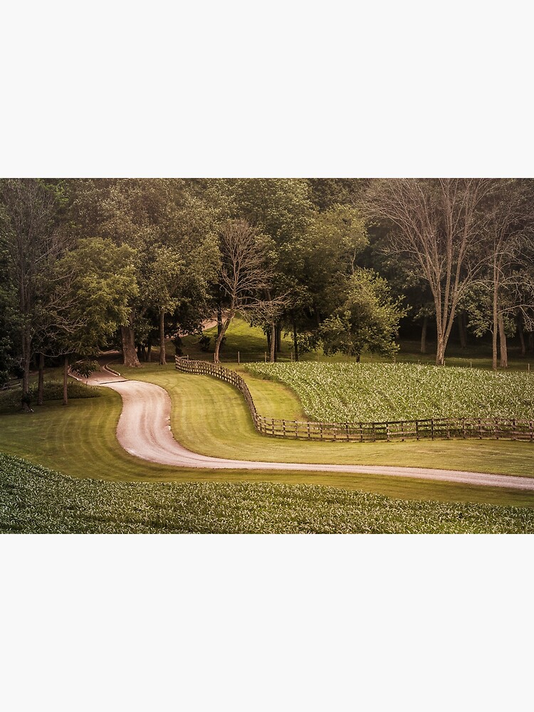 "Cornfield Road" Poster for Sale by butterbean57 Redbubble