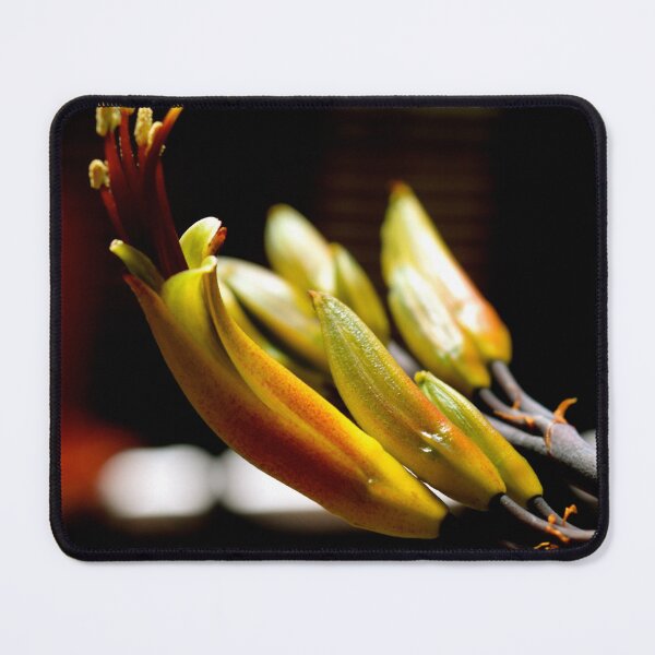 Item preview, Popping Up designed and sold by ehlphotography.