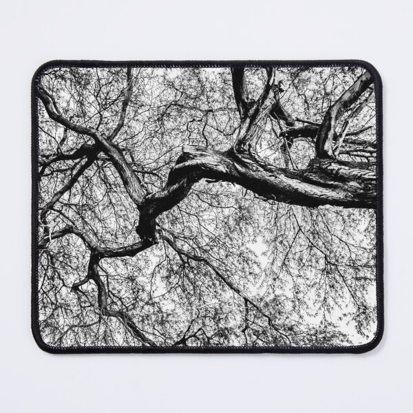 Item preview, Tree Distributary designed and sold by ehlphotography.