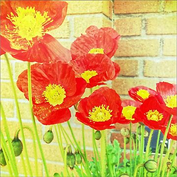 Artwork thumbnail, Poppyfied - Bright Yellow and Red Poppies - Flower Art Photo by OneDayArt