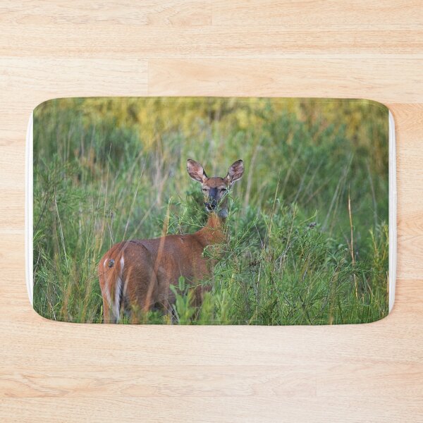 Item preview, Bashful deer  designed and sold by NicoleFrederick.
