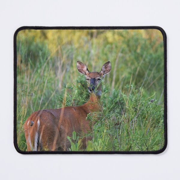 Item preview, Bashful deer  designed and sold by NicoleFrederick.