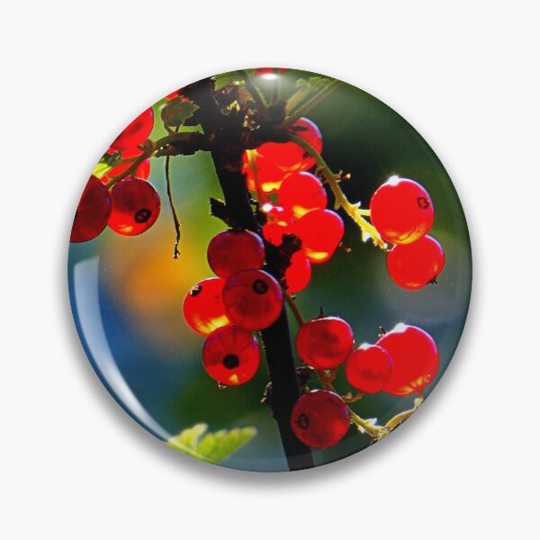 Item preview, Redcurrants designed and sold by angel1.