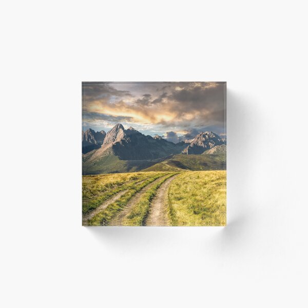 Path through the meadow to Tatra mountains Acrylic Block