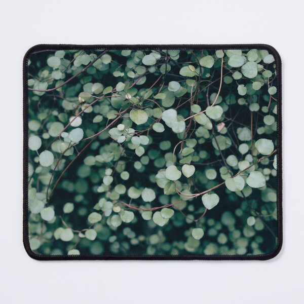Item preview, Green leafed plant designed and sold by anass002.