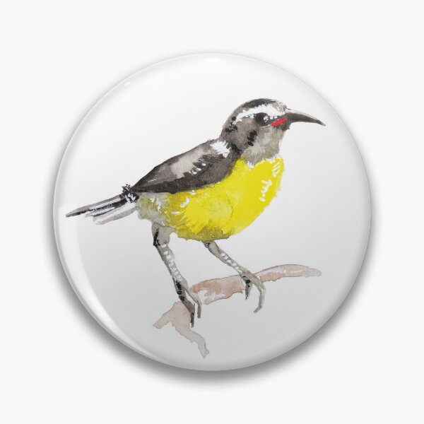 Item preview, Animals of Saint-Barthélemy : Bananaquit  designed and sold by MoonStBarth.