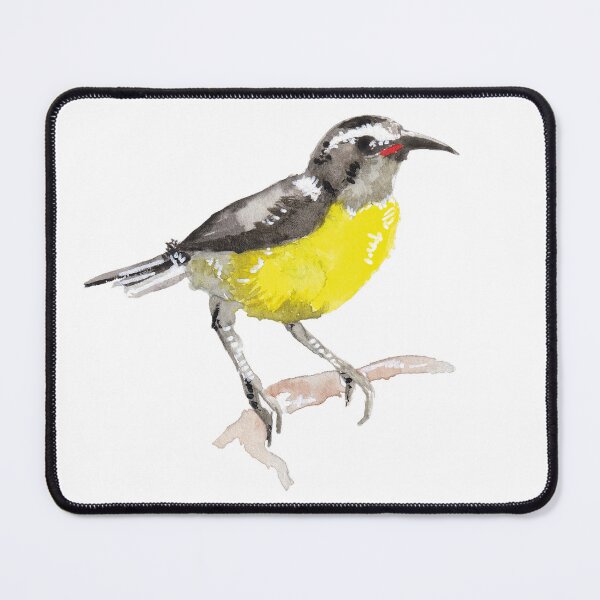 Item preview, Animals of Saint-Barthélemy : Bananaquit  designed and sold by MoonStBarth.
