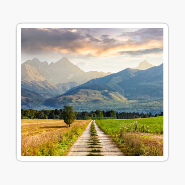 Rural fields near the high mountains Sticker