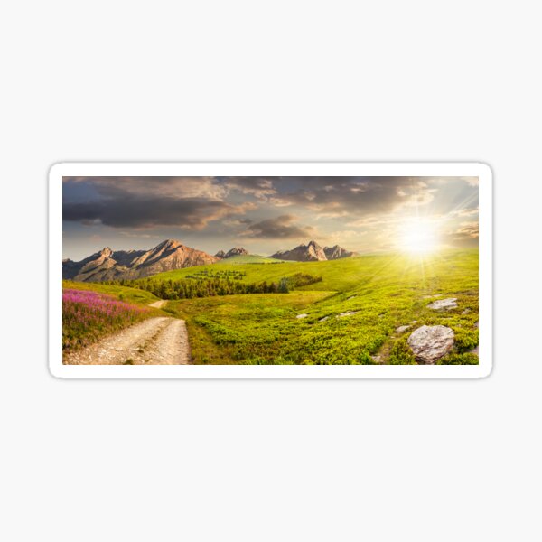 wild flowers by the road on hillside at sunset Sticker
