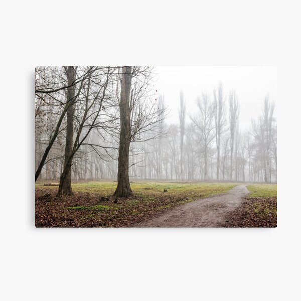 autumn park in fog Canvas Print