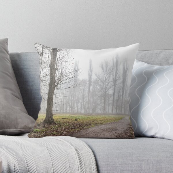 autumn park in fog Throw Pillow