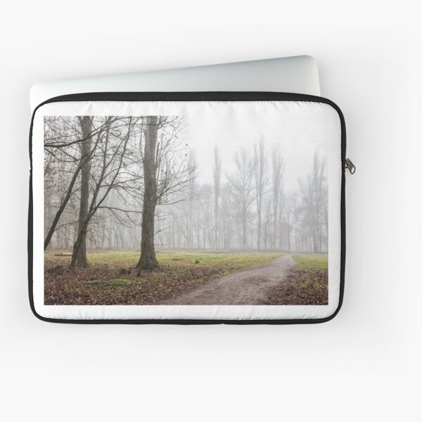 autumn park in fog Laptop Sleeve