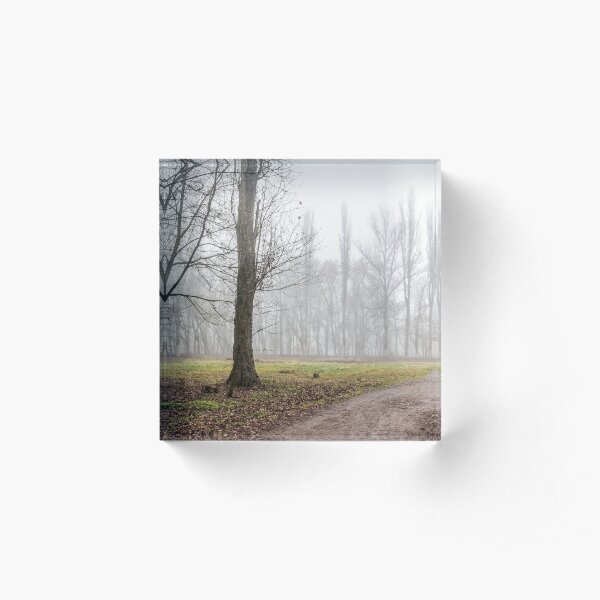 autumn park in fog Acrylic Block