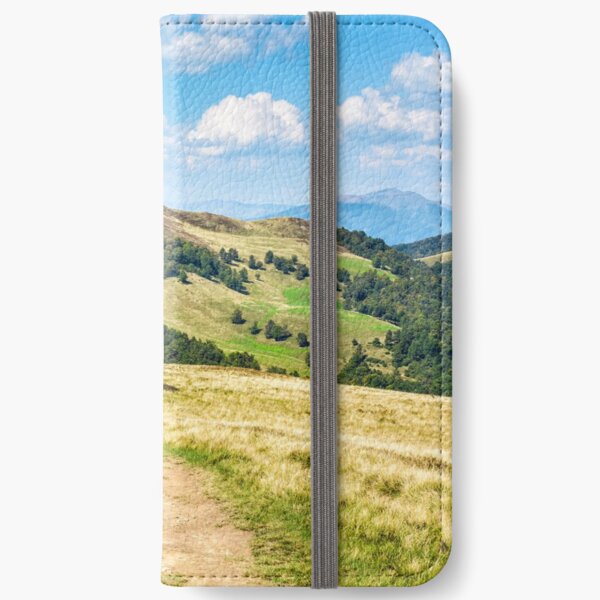 road through a meadow on hillside iPhone Wallet