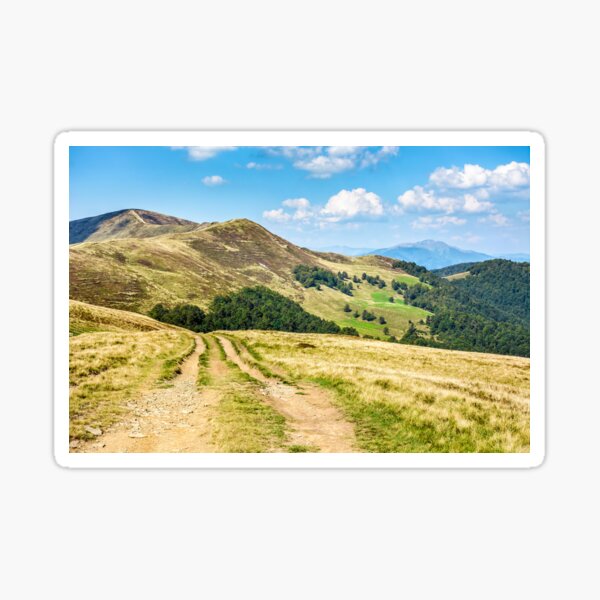 road through a meadow on hillside Sticker