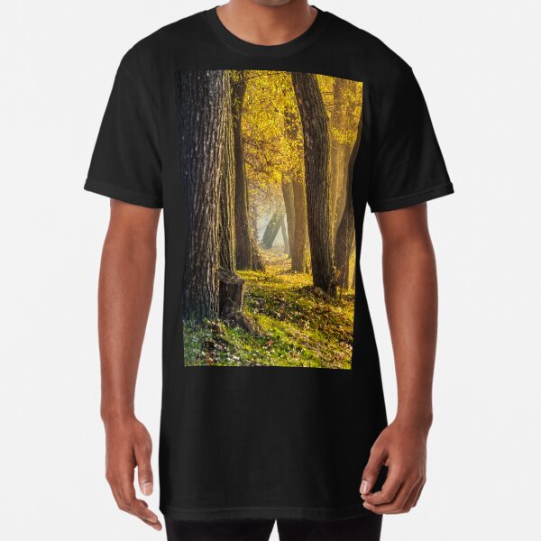 forest in foliage on sunny autumn day Long T-Shirt