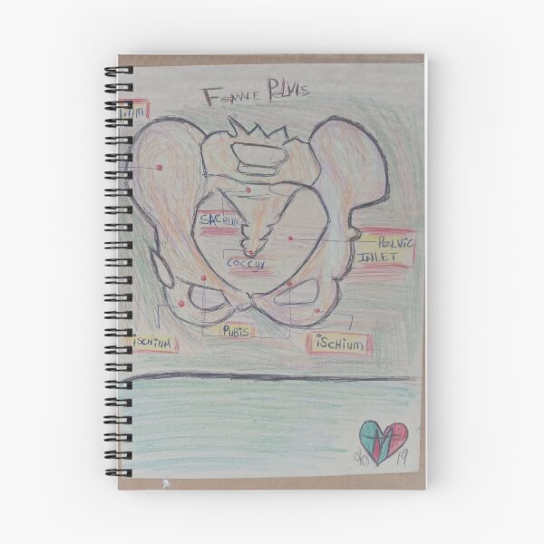 Item preview, Human anatomy female reproduction the pelvis designed and sold by InsomniaBlues.