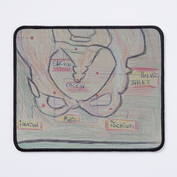 Item preview, Human anatomy female reproduction the pelvis designed and sold by InsomniaBlues.