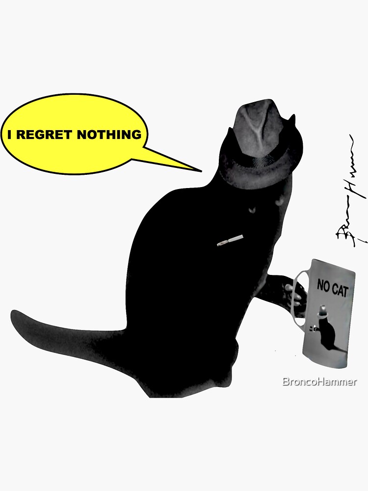 Rude Cat has No Regrets by BroncoHammer