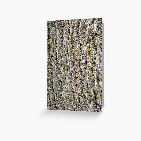 Mossy Walnut Bark Greeting Card