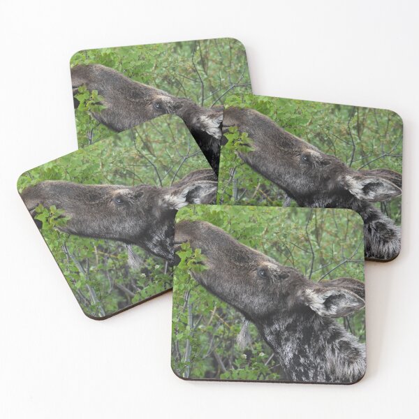 Item preview, Moose Lunch designed and sold by NottingHill.