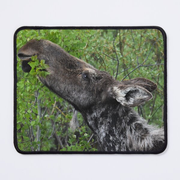 Item preview, Moose Lunch designed and sold by NottingHill.
