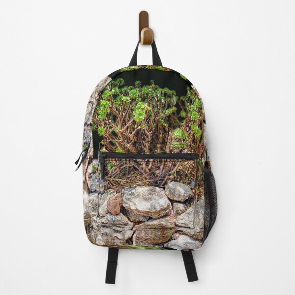 Item preview, Aeonium Arboreum,Succulent designed and sold by Kuetspal-Lin.