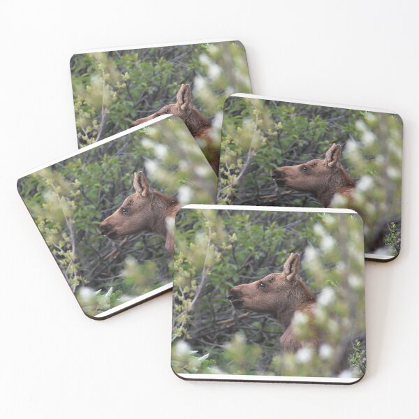 Item preview, Moose Calf designed and sold by NottingHill.
