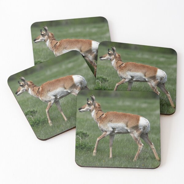 Item preview, Pronghorn designed and sold by NottingHill.