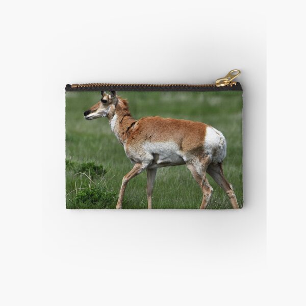 Item preview, Pronghorn designed and sold by NottingHill.