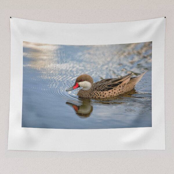 Item preview, White-cheeked Pintail designed and sold by Eunice Gibb.