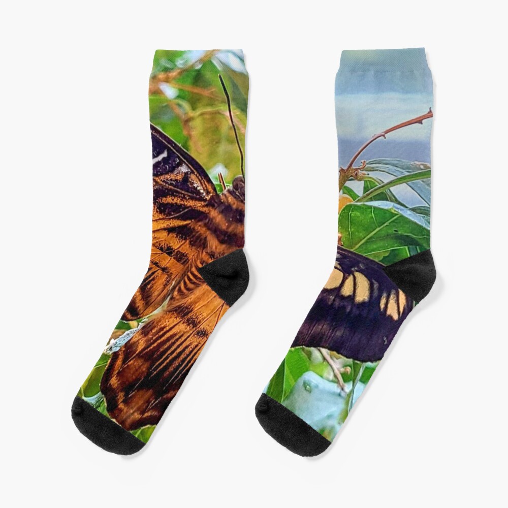 Item preview, Socks designed and sold by jwwalter.