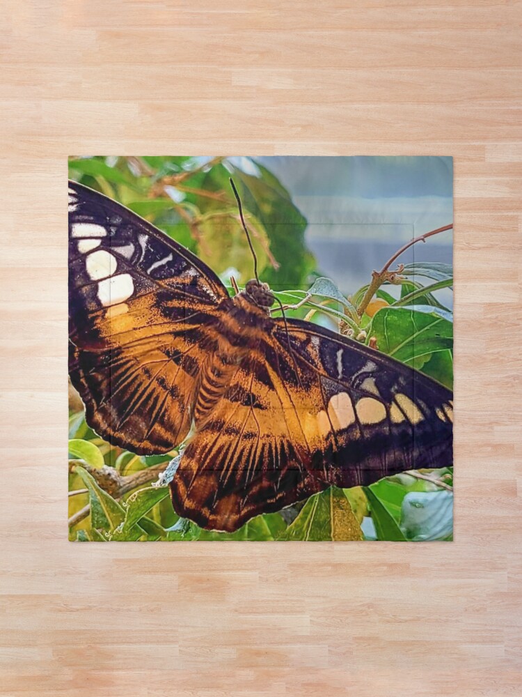 Alternate view of Butterfly Mat Comforter