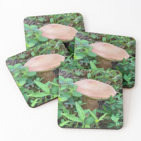 Item preview, Wild Brown Forest Mushroom Photography designed and sold by silviaol.
