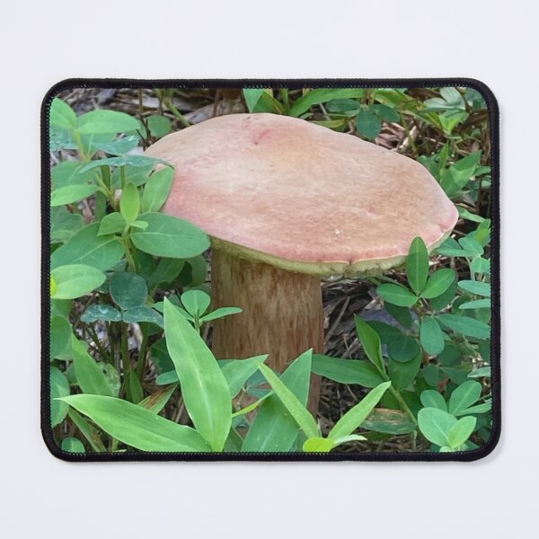 Item preview, Wild Brown Forest Mushroom Photography designed and sold by silviaol.
