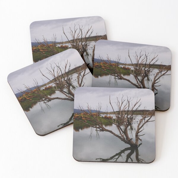 Item preview, Branching out designed and sold by D-GaP.