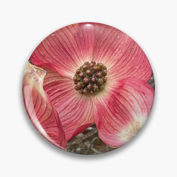 Item preview, The Steady Truth Teller of Pink Dogwood  designed and sold by Photomersion.
