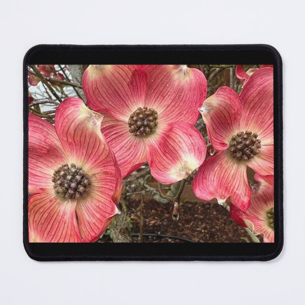 Item preview, The Steady Truth Teller of Pink Dogwood  designed and sold by Photomersion.