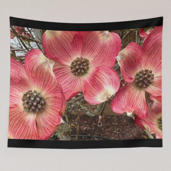 Item preview, The Steady Truth Teller of Pink Dogwood  designed and sold by Photomersion.