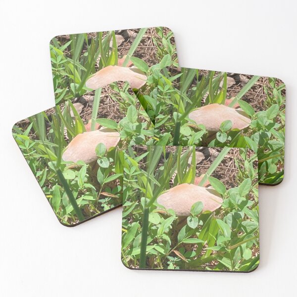Item preview, Wild Forest Mushroom  designed and sold by silviaol.