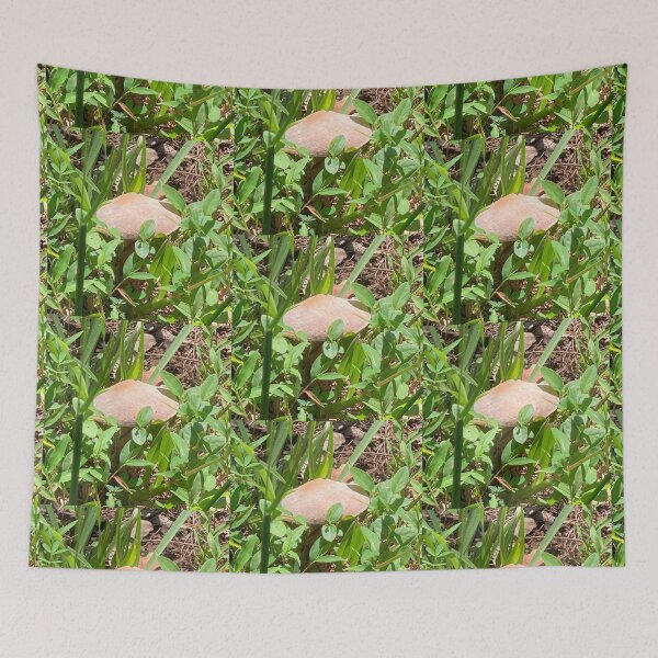 Item preview, Wild Forest Mushroom  designed and sold by silviaol.