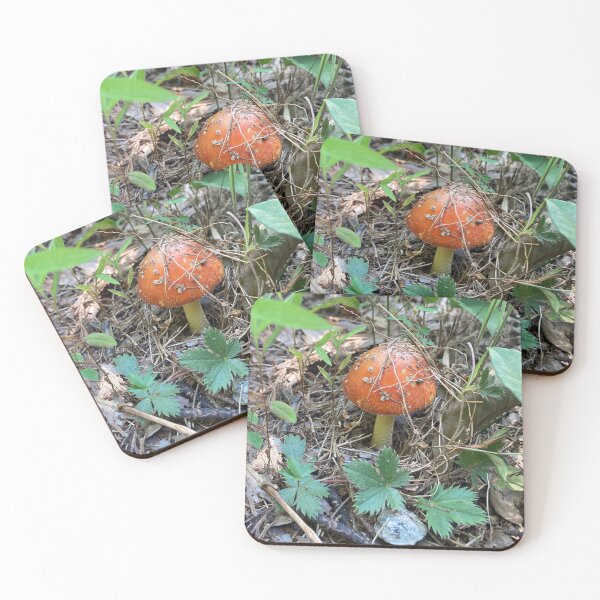 Item preview, Small Red Forest Mushroom  designed and sold by silviaol.