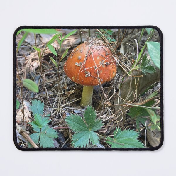 Item preview, Small Red Forest Mushroom  designed and sold by silviaol.